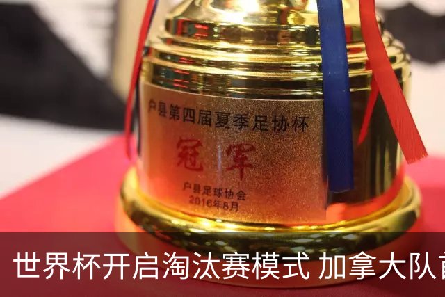 世界杯开启淘汰赛模式 加拿大队首进赛事16强