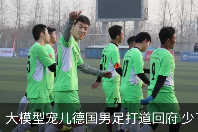大模型宠儿德国男足打道回府 少了人性观察数据等于废纸