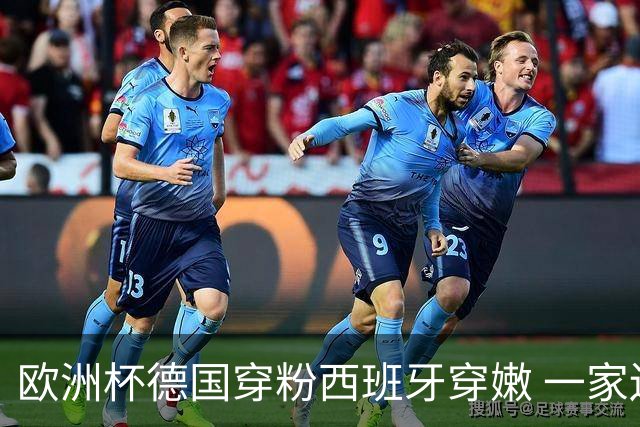 欧洲杯德国穿粉西班牙穿嫩 一家还盖了检验章